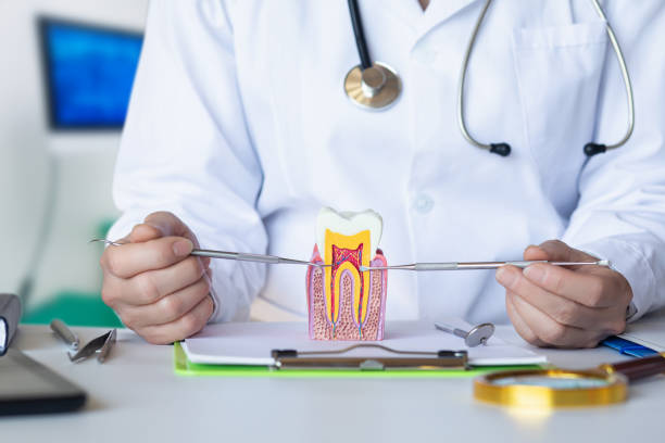 Best Emergency Denture Repair in Osceola Mills, PA